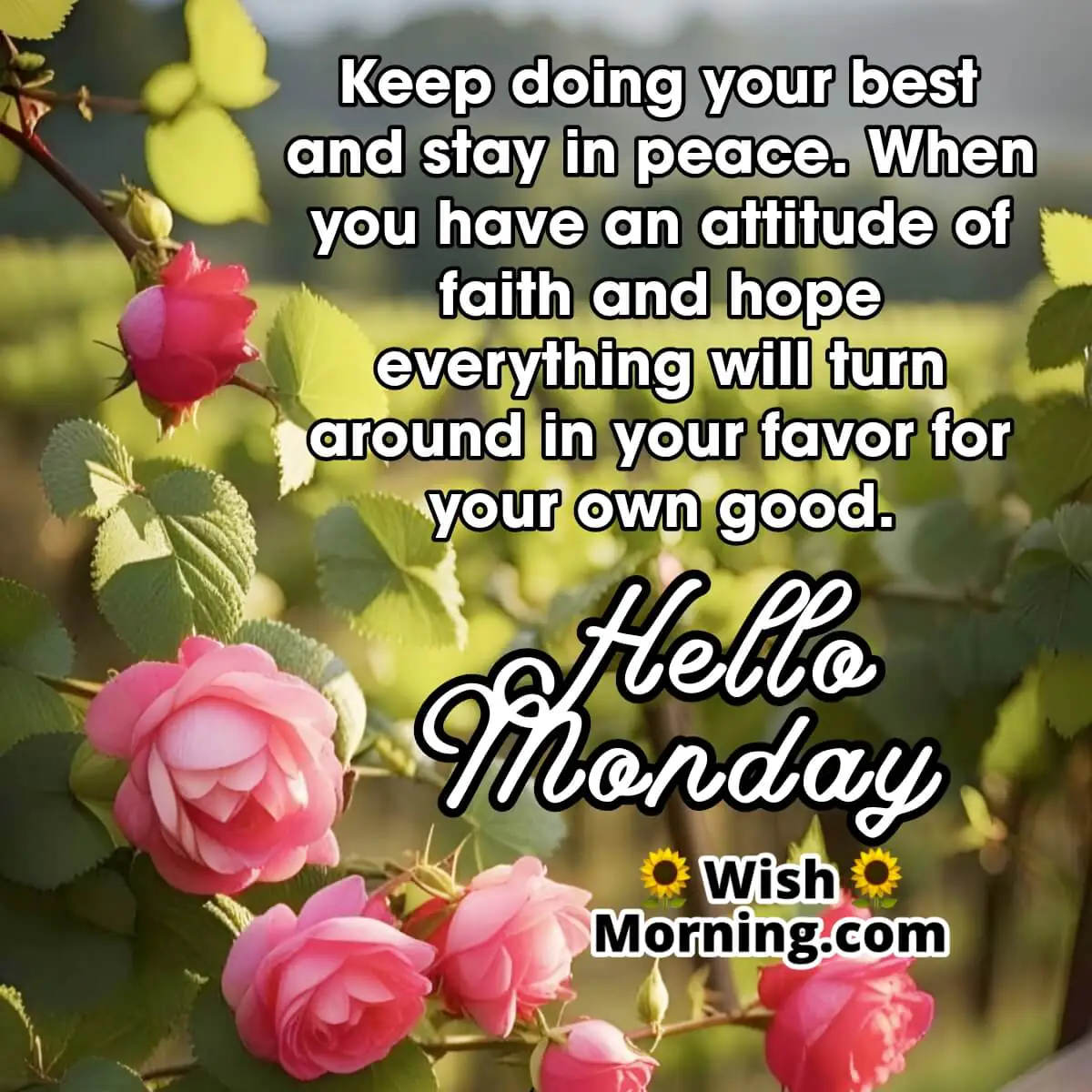 Hello Monday Wish