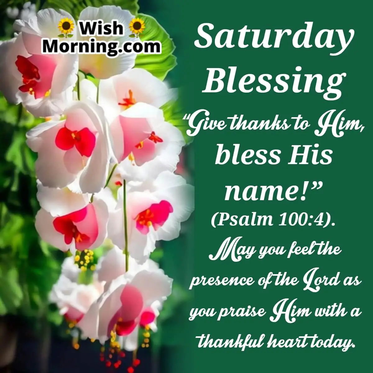 Saturday Blessing Image