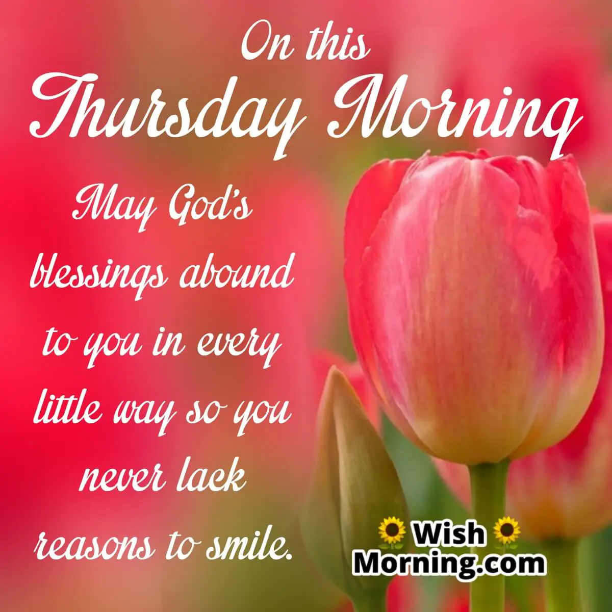 Thursday Morning Blessings
