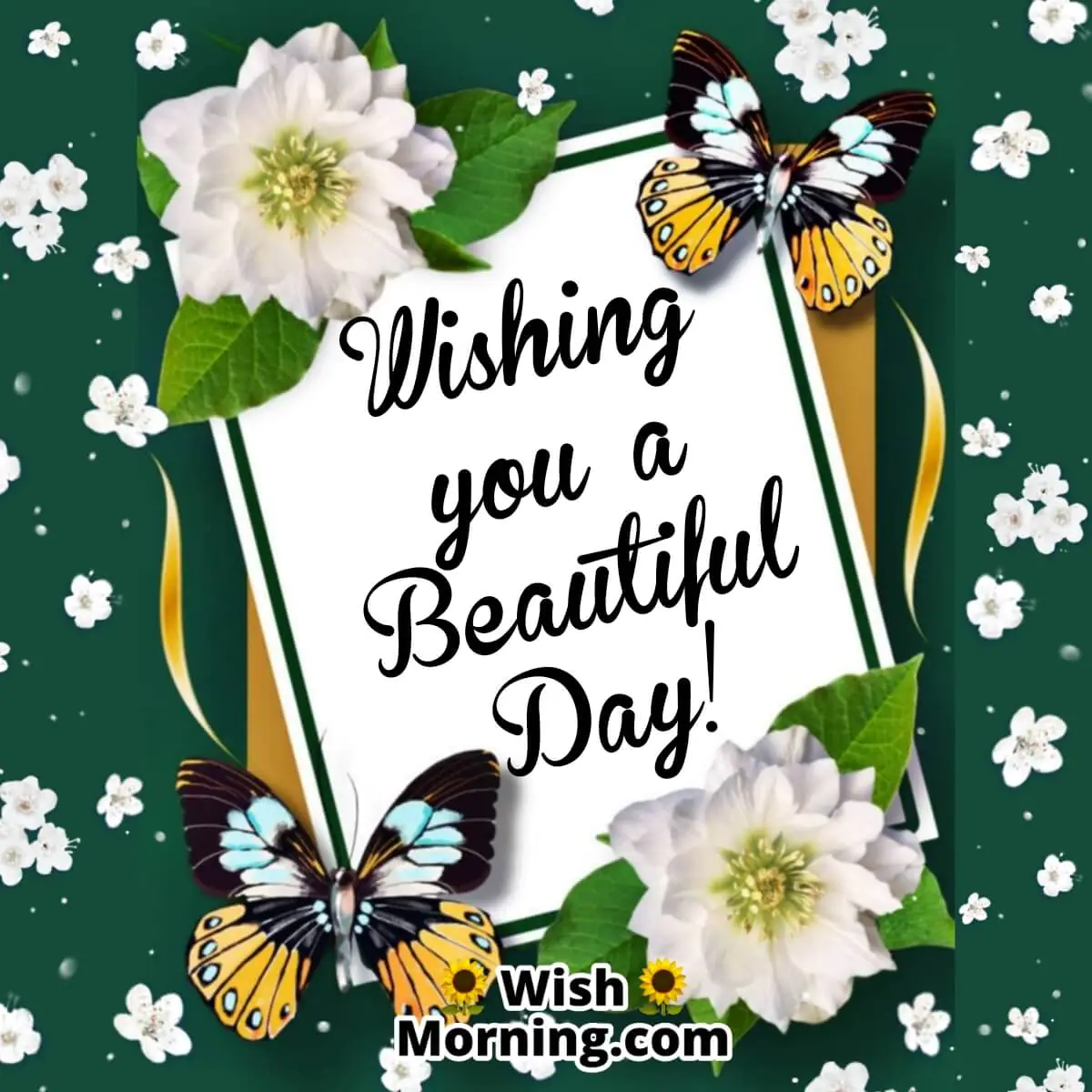 Wishing You A Beautiful Day!