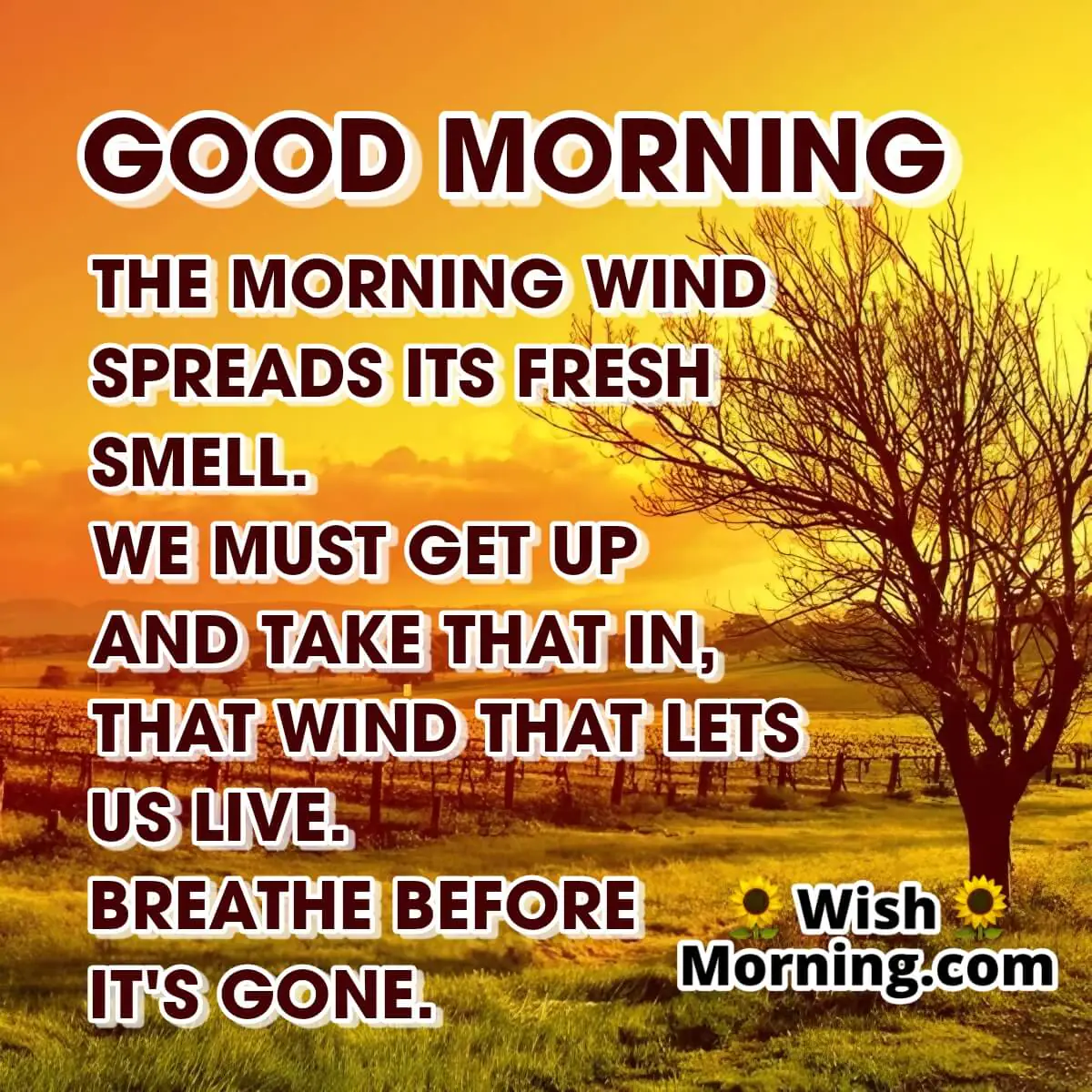 Good Morning Rumi Quote For Motivation