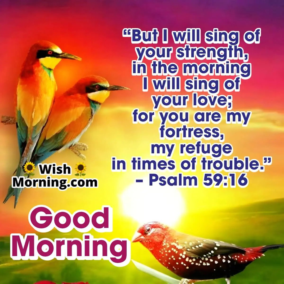 Good Morning Verse From The Bible