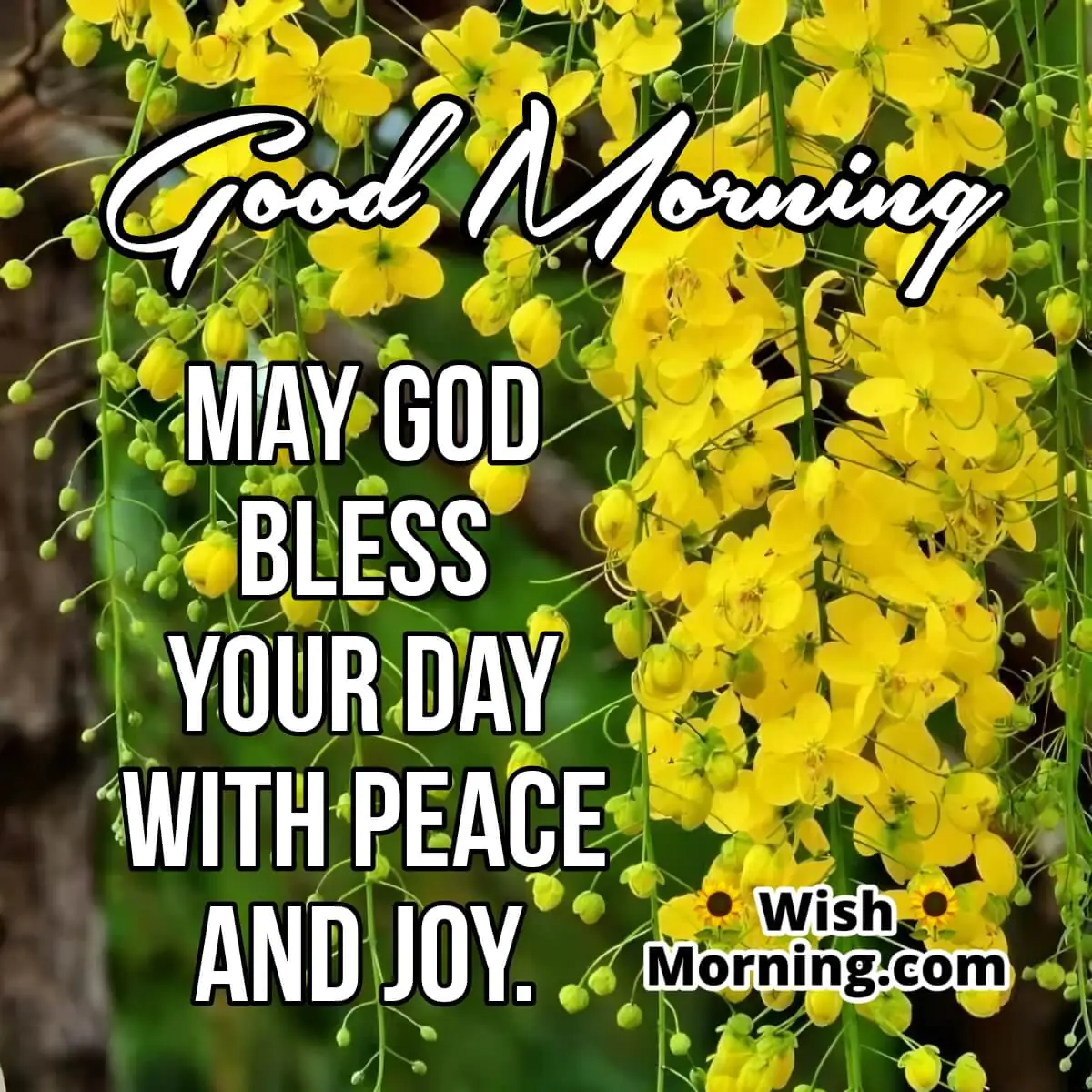Good Morning God Bless Your Day