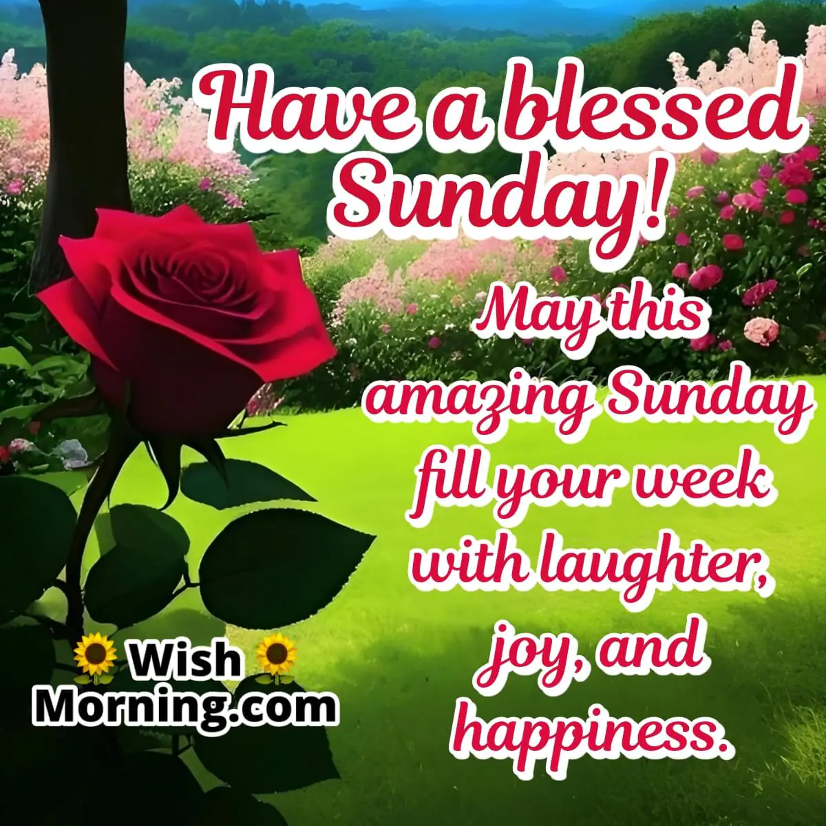 Amazing Sunday Positive Quote