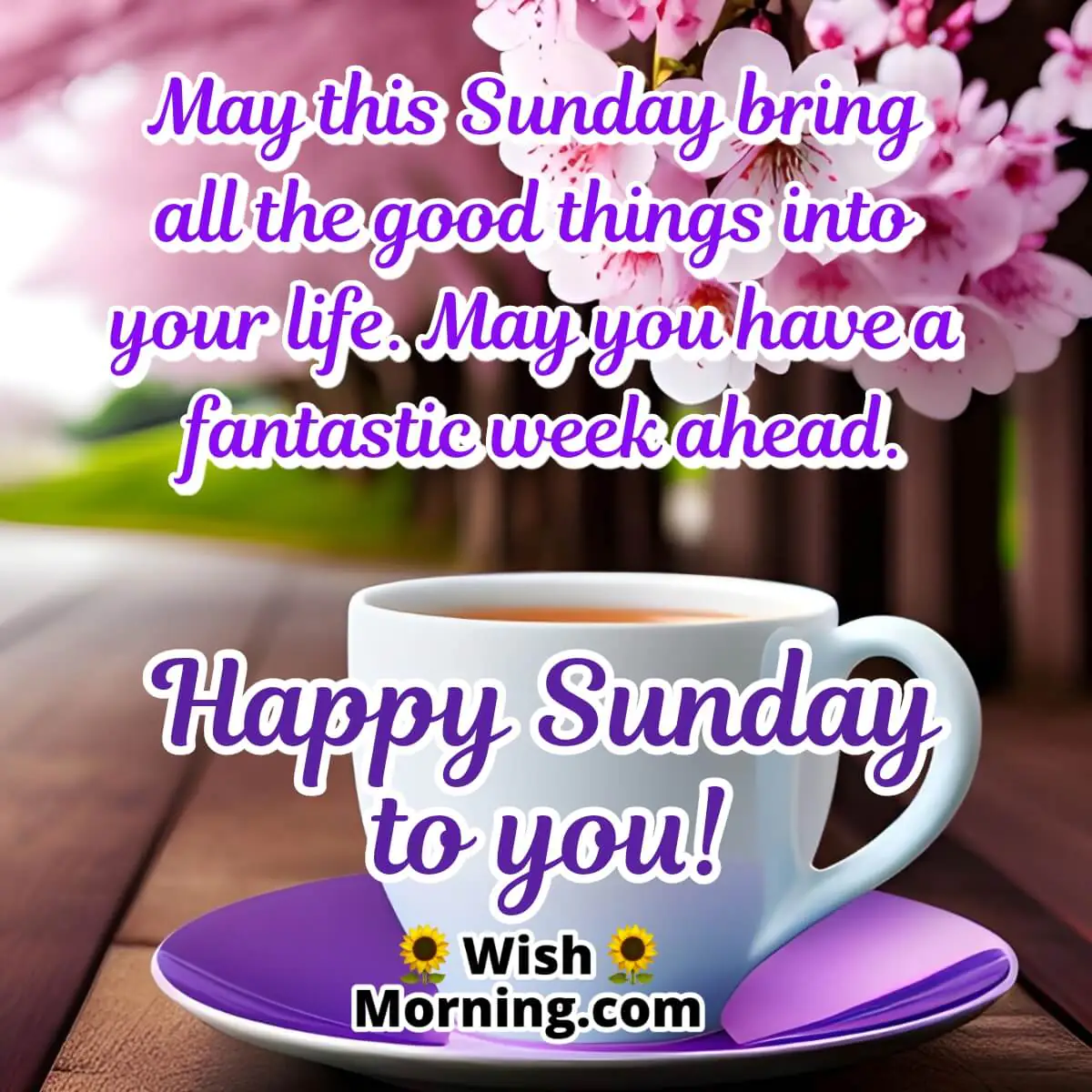 Fantastic Sunday Positive Quote