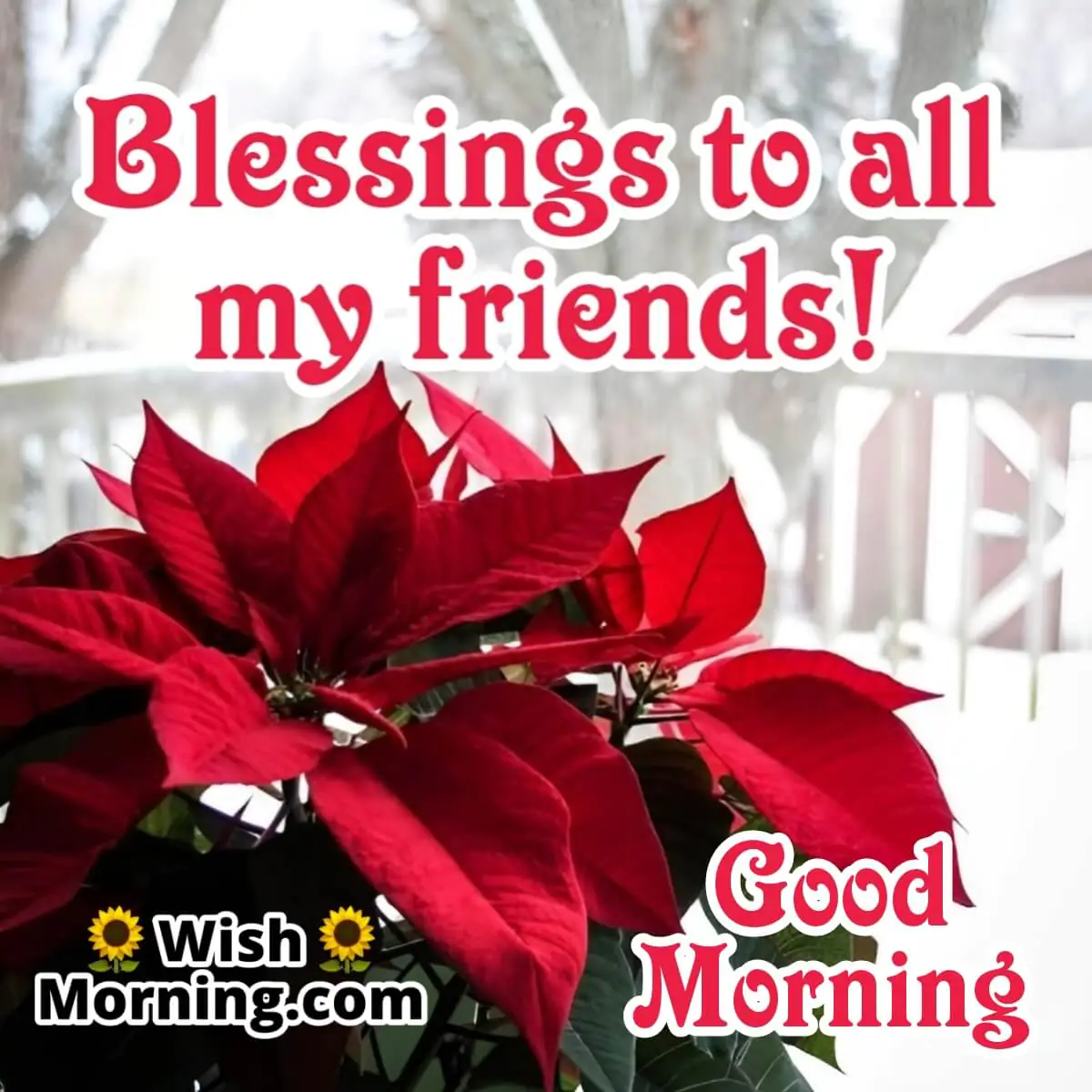 Good Morning Blessings To All Friends!