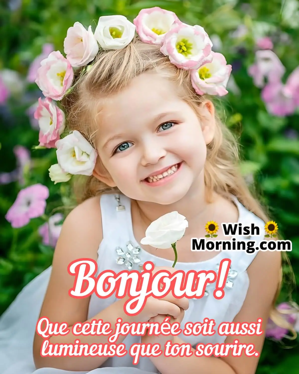 Bonjour Souhait Français