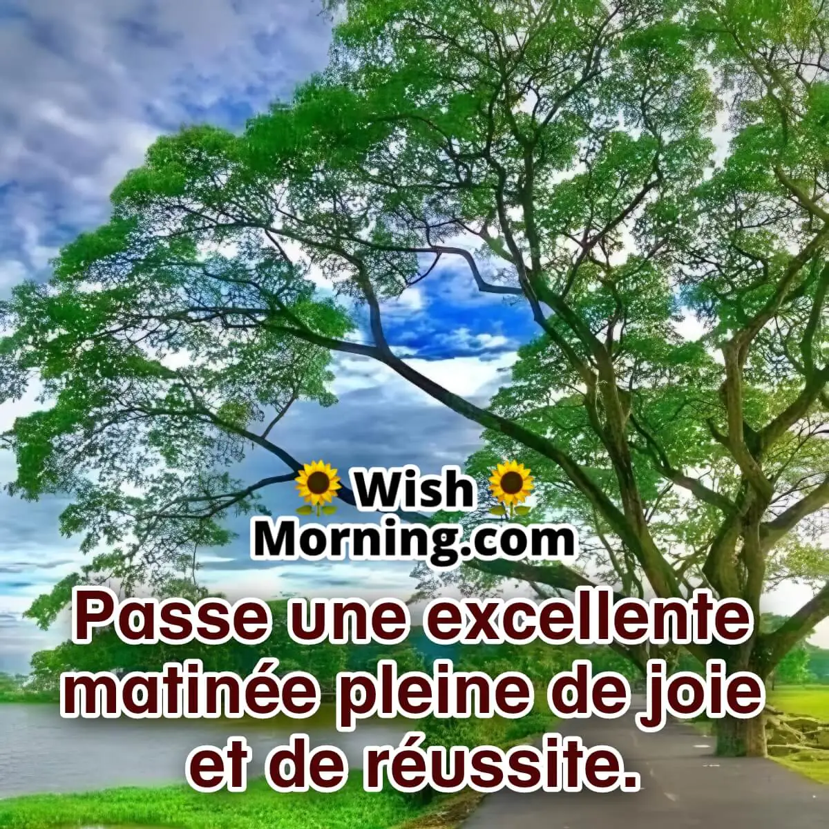 Passez Un Bon Souhait Du Matin