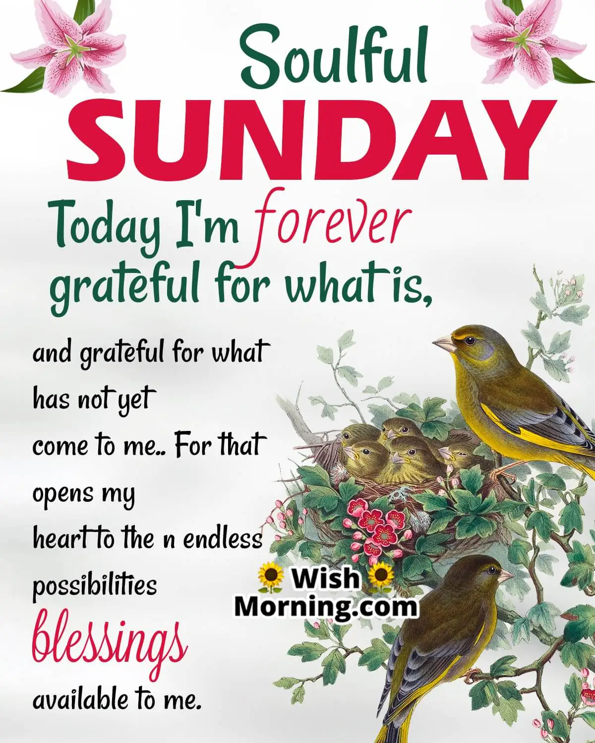 Grateful Sunday Status Quote