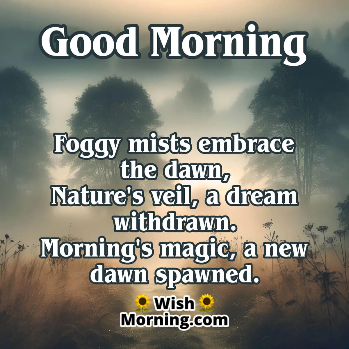 Good Morning Foggy Mists Poem