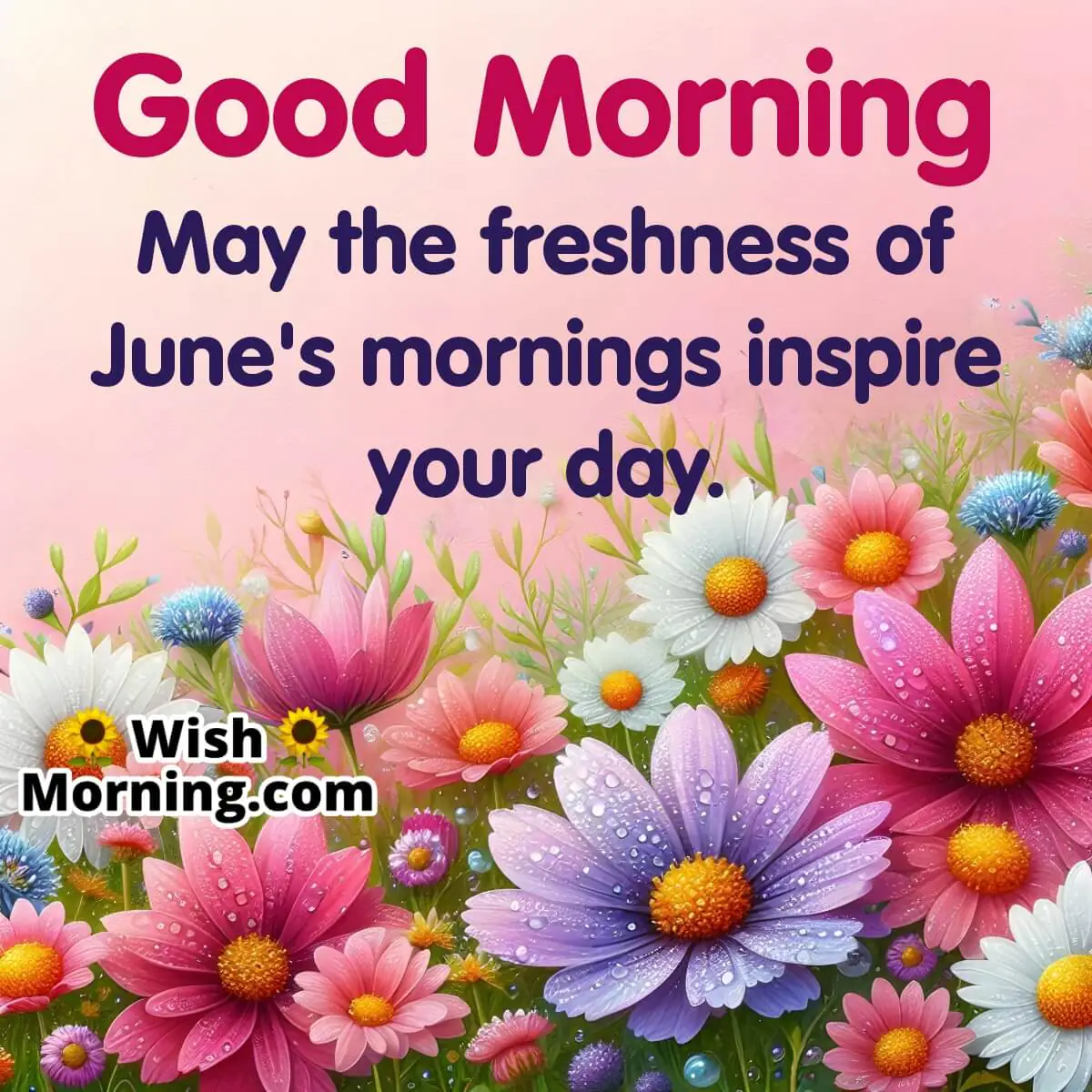 June Dew Kissed Morning Greetings