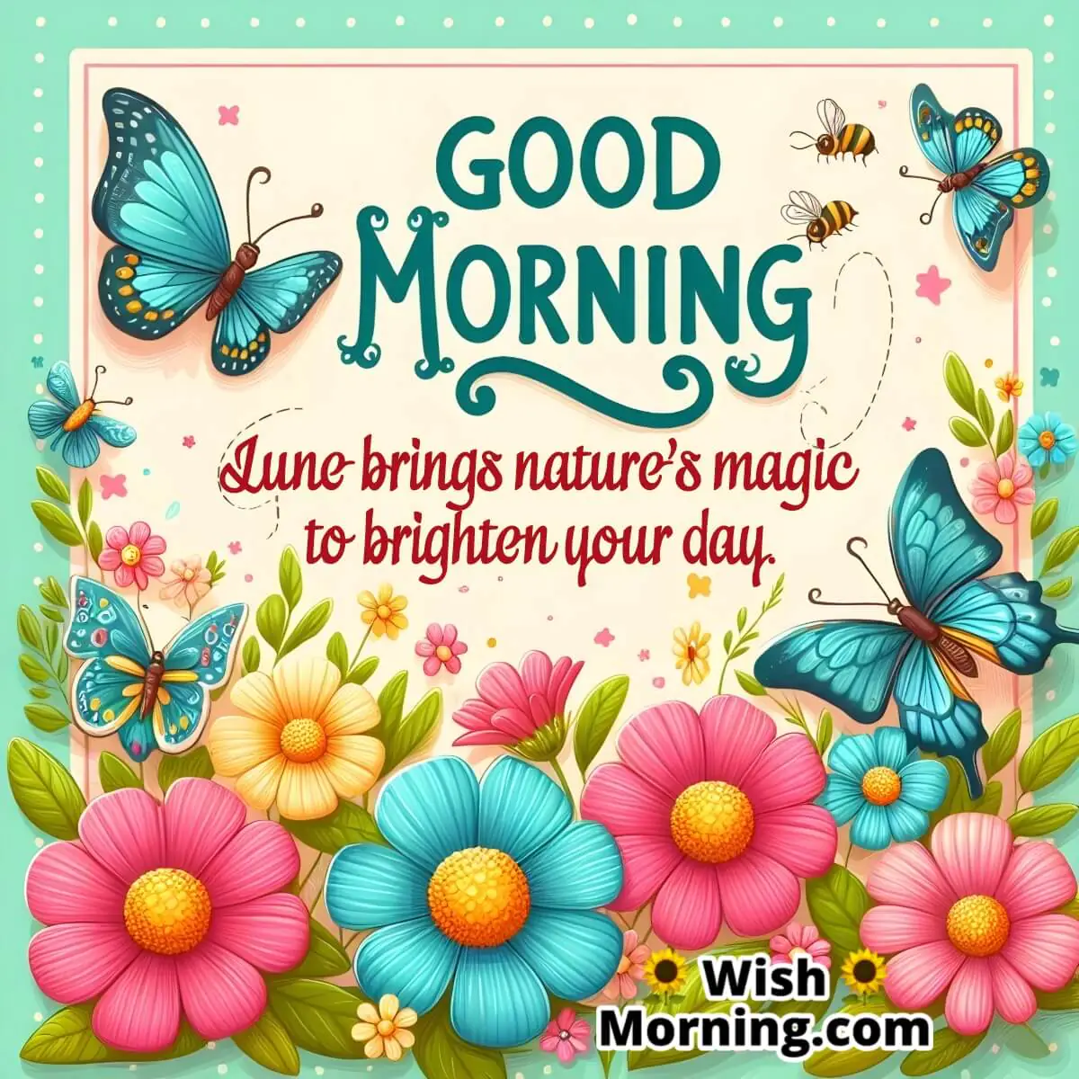 Nature's June Morning Magic