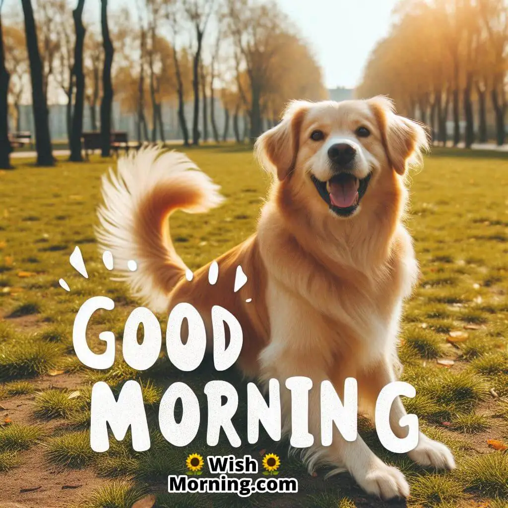Good Morning Cheerful Dog