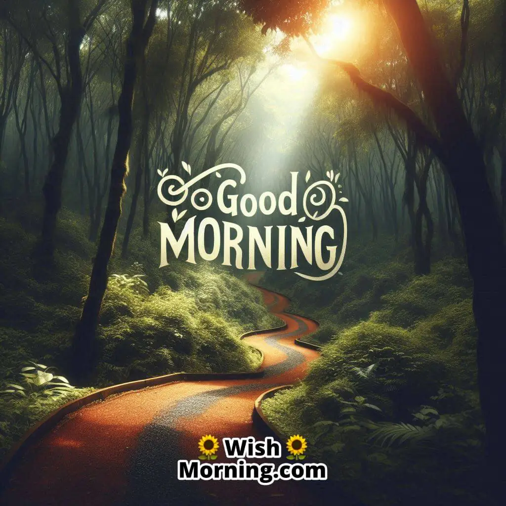 Good Morning Forest Journey
