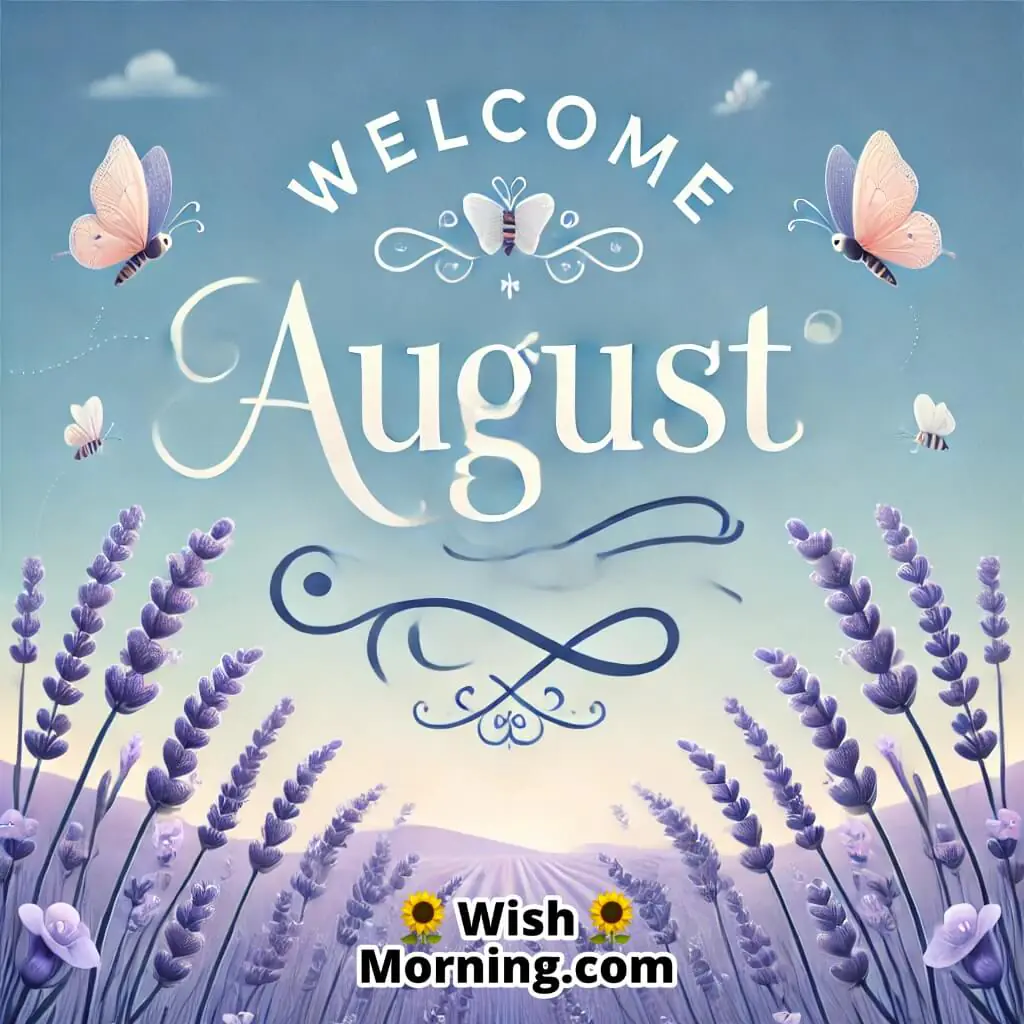 Welcome August Lavender Fields