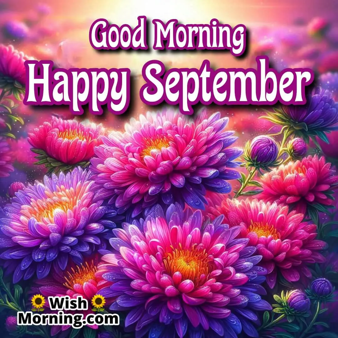 Good Morning Happy September Asters