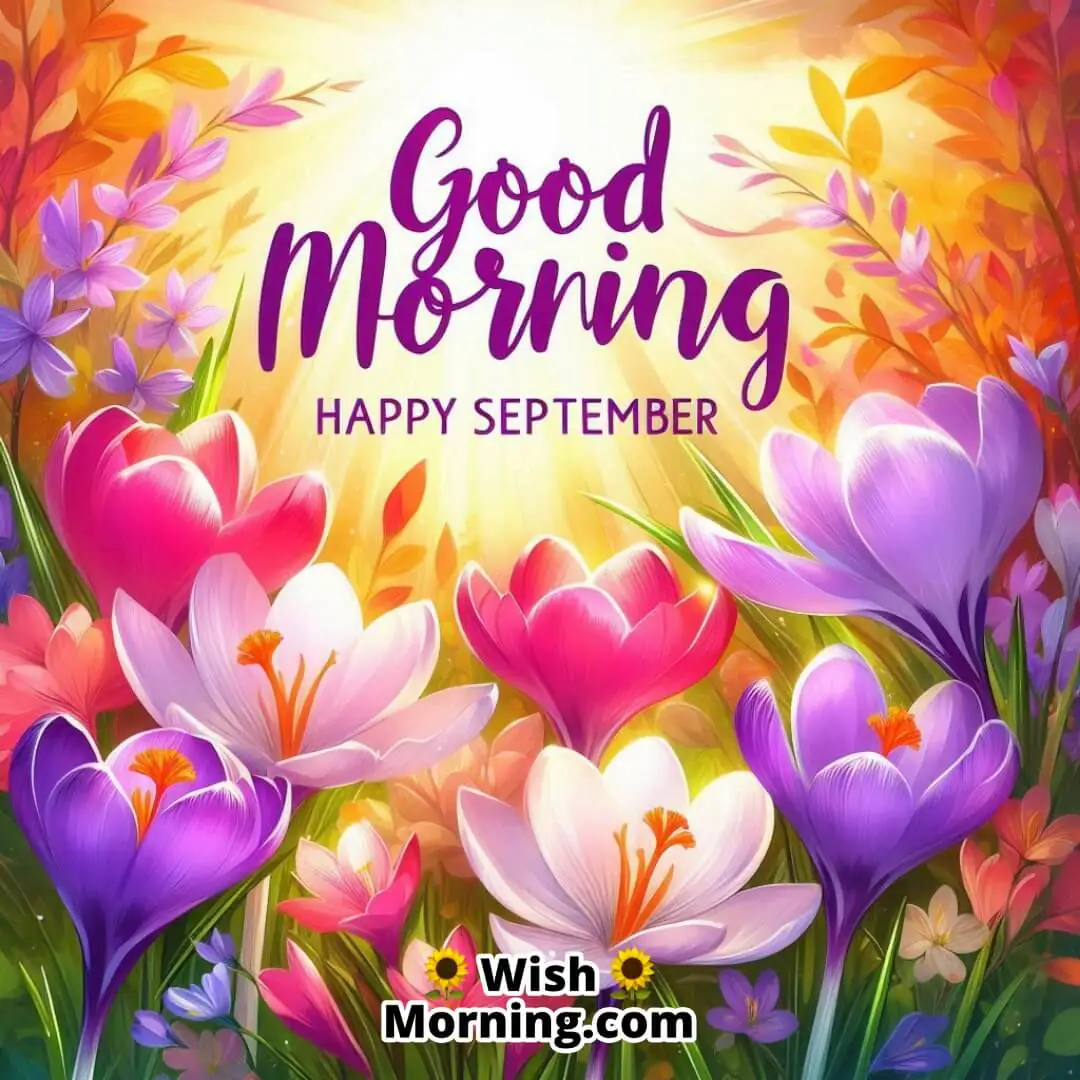 Good Morning Happy September Bright Autumn Crocus