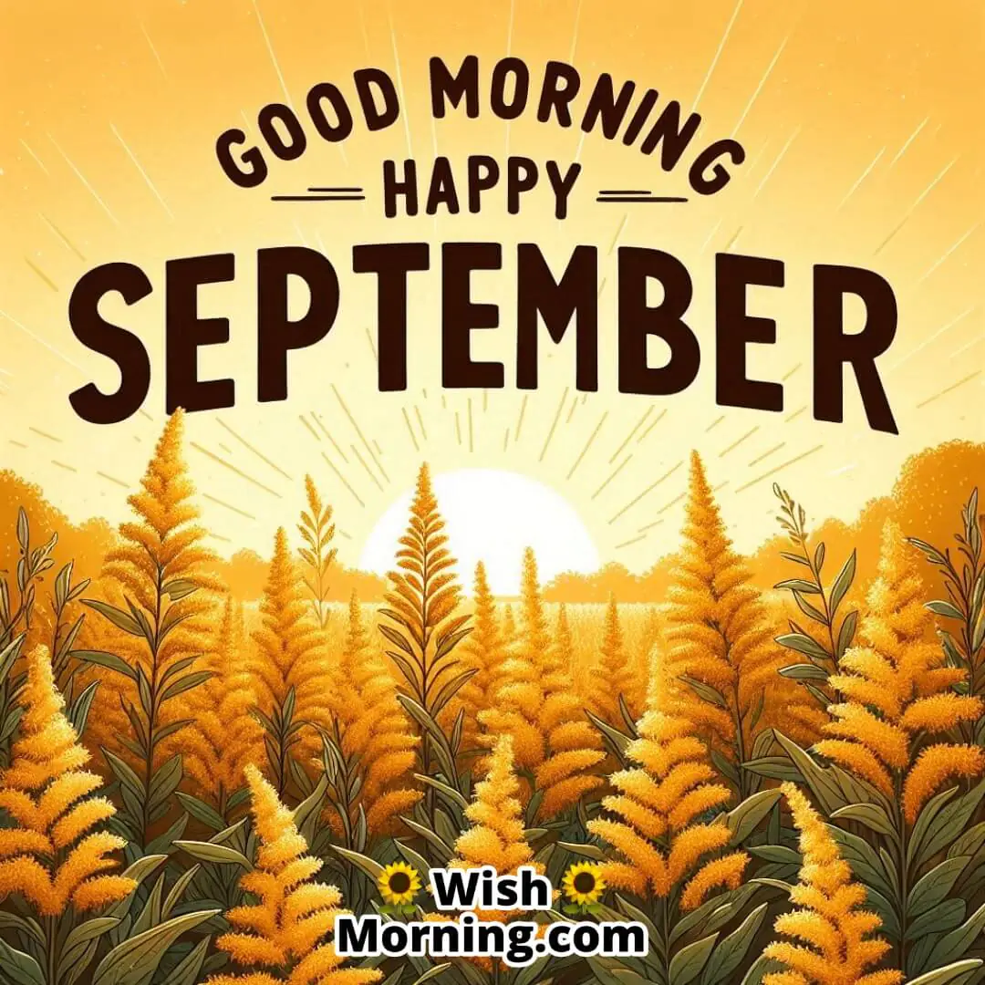 Good Morning Happy September Goldenrod Flowers