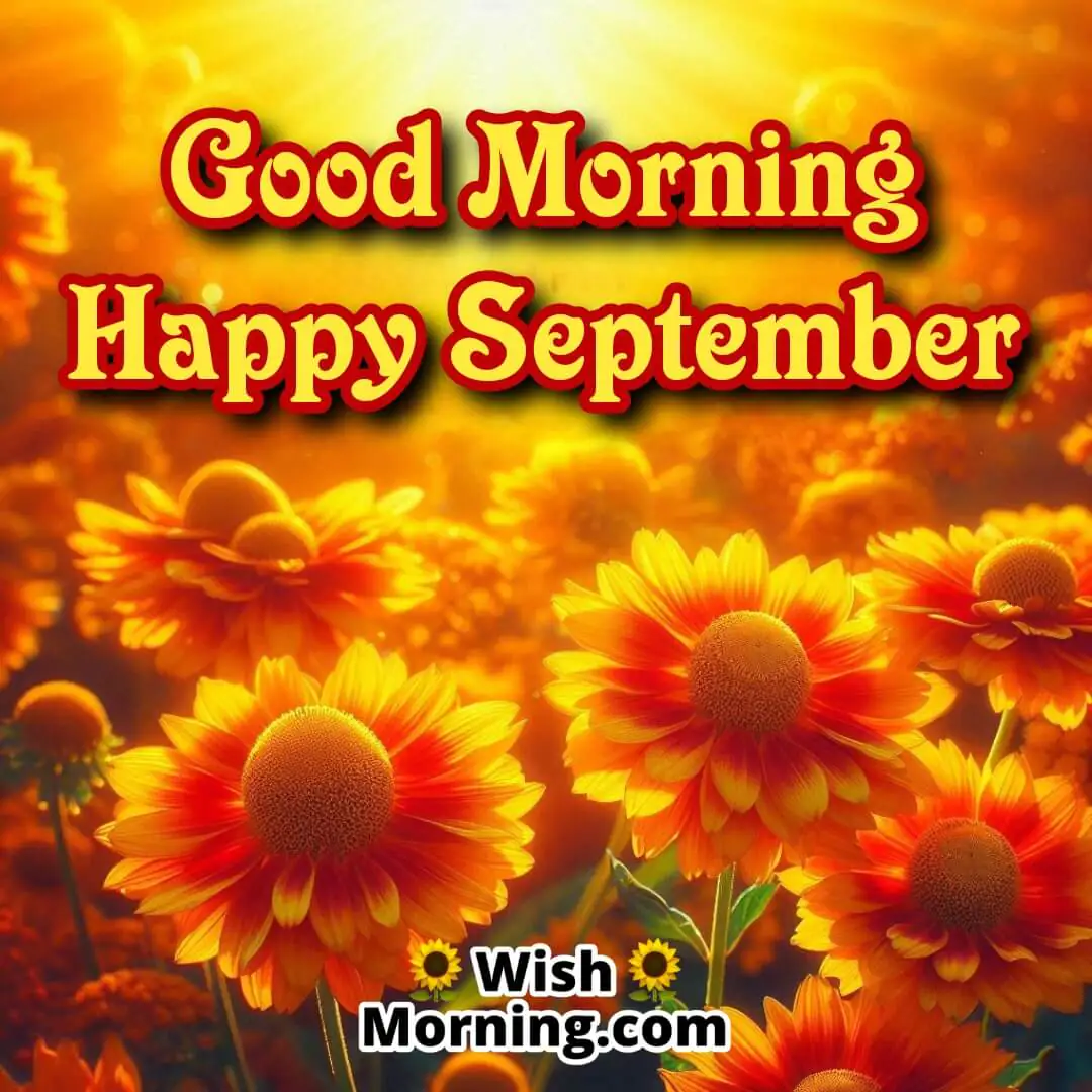 Good Morning Happy September Helenium Flowers
