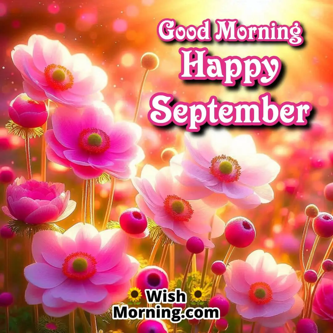 Good Morning Happy September Japanese Anemone