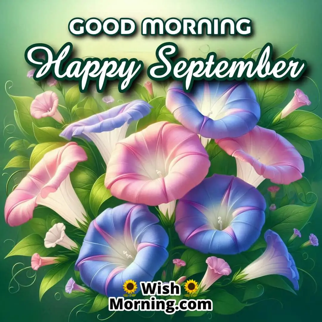Good Morning Happy September Morning Glory Flowers