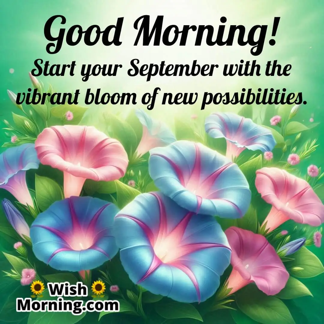 Happy September Morning Glory Bloom