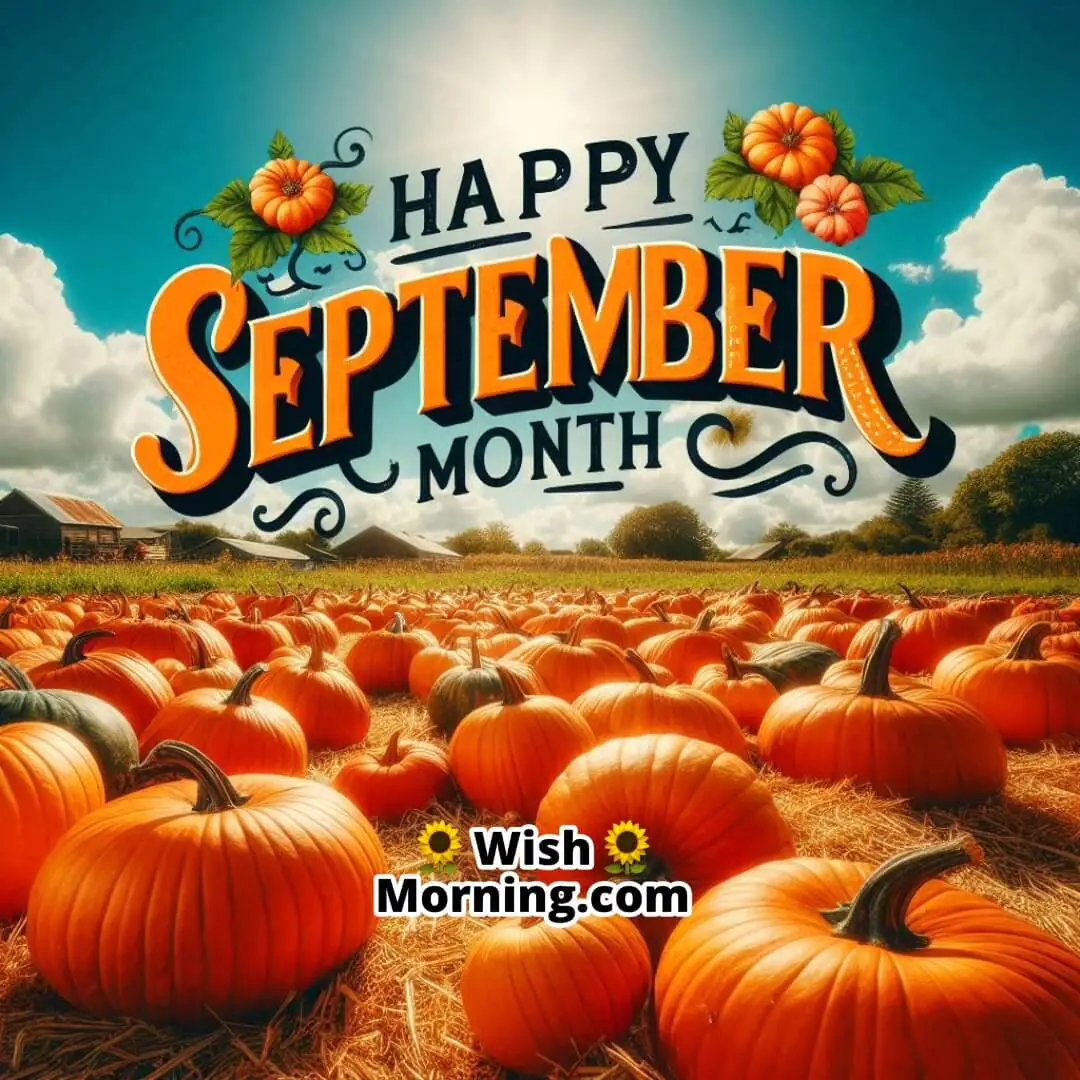 Happy September Pumpkin Patch With Bright Sky