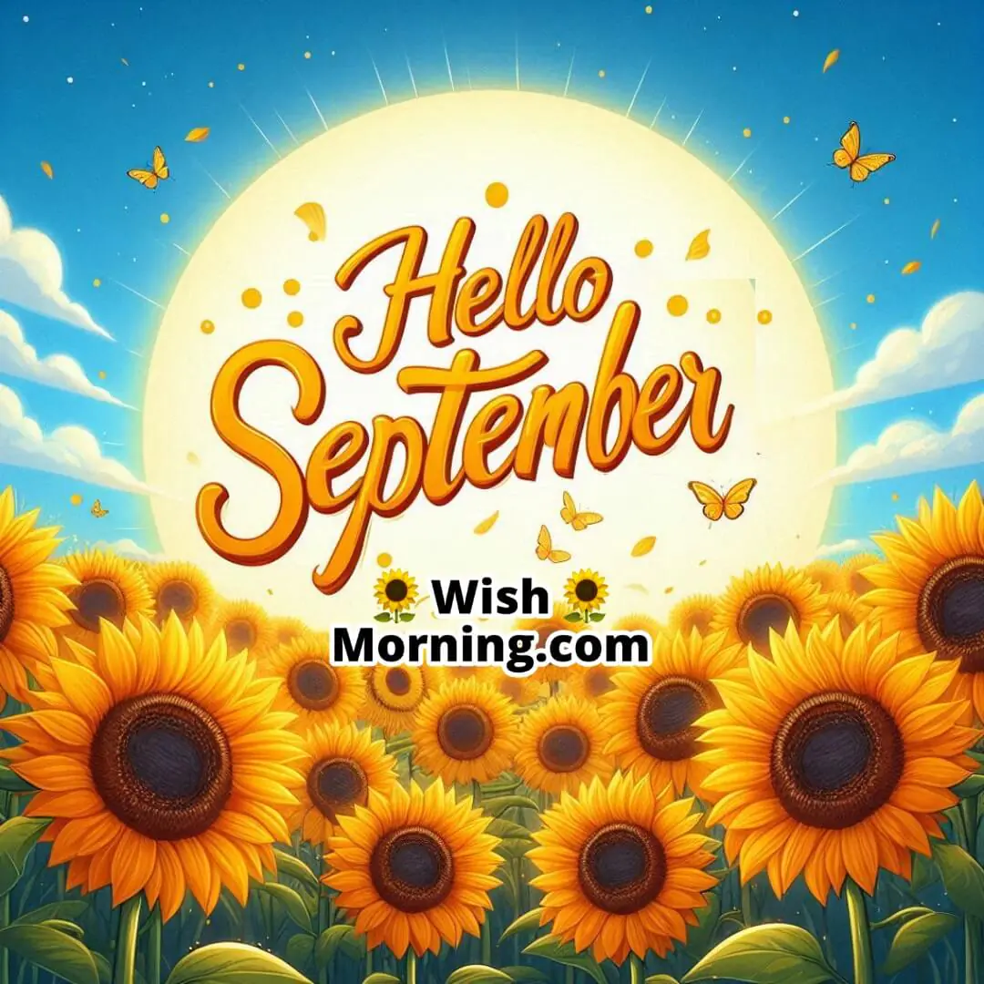 Hello September Blooming Sunflowers