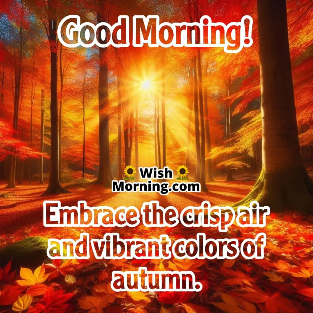 Autumn forest with vibrant orange, red, and yellow leaves, sunlight filtering through trees and casting a warm glow.