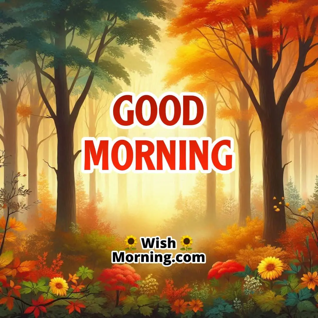 Misty autumn forest with trees silhouetted against fog and vibrant fall colors peeking through, Good Morning softly written.
