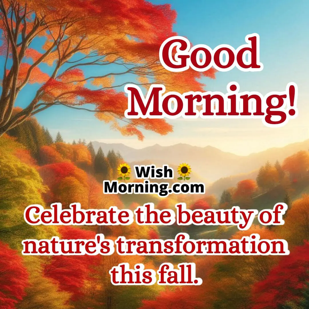 Hillside covered in vibrant autumn foliage with a clear blue sky and soft morning light enhancing the tree colors.