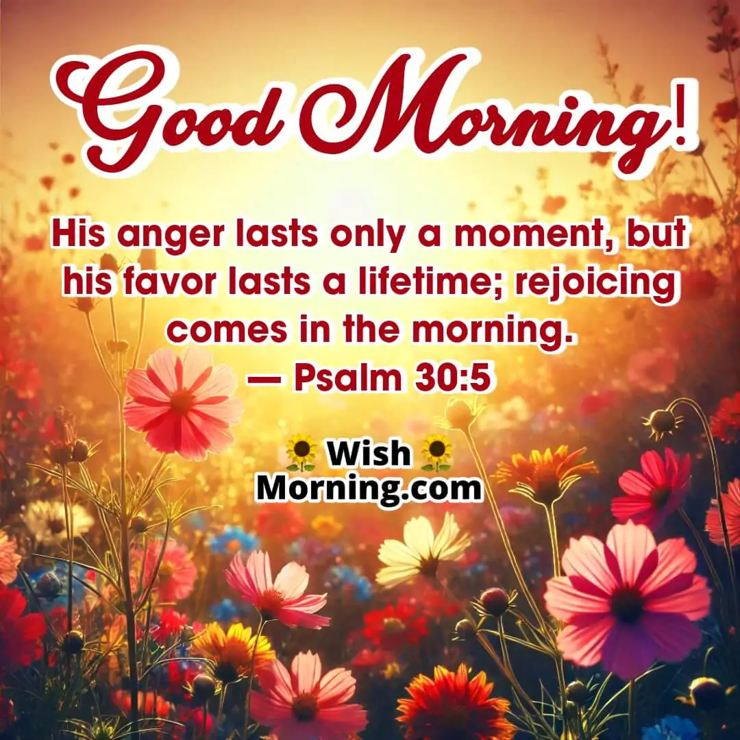 Rejoicing Morning Bible Image