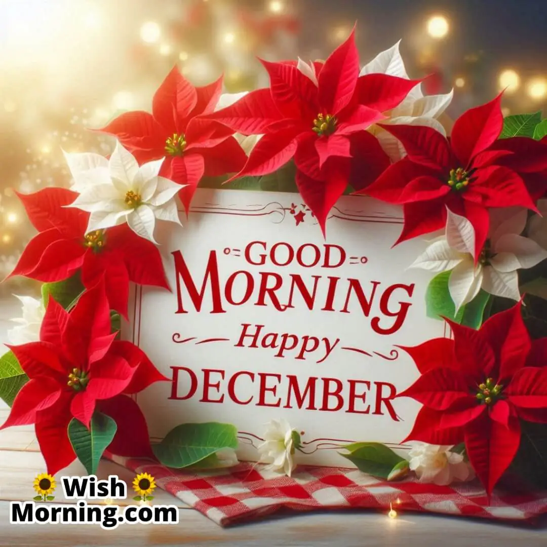 Bright red and white poinsettias blooming in a festive setting with soft December morning light and Good Morning Happy December text.