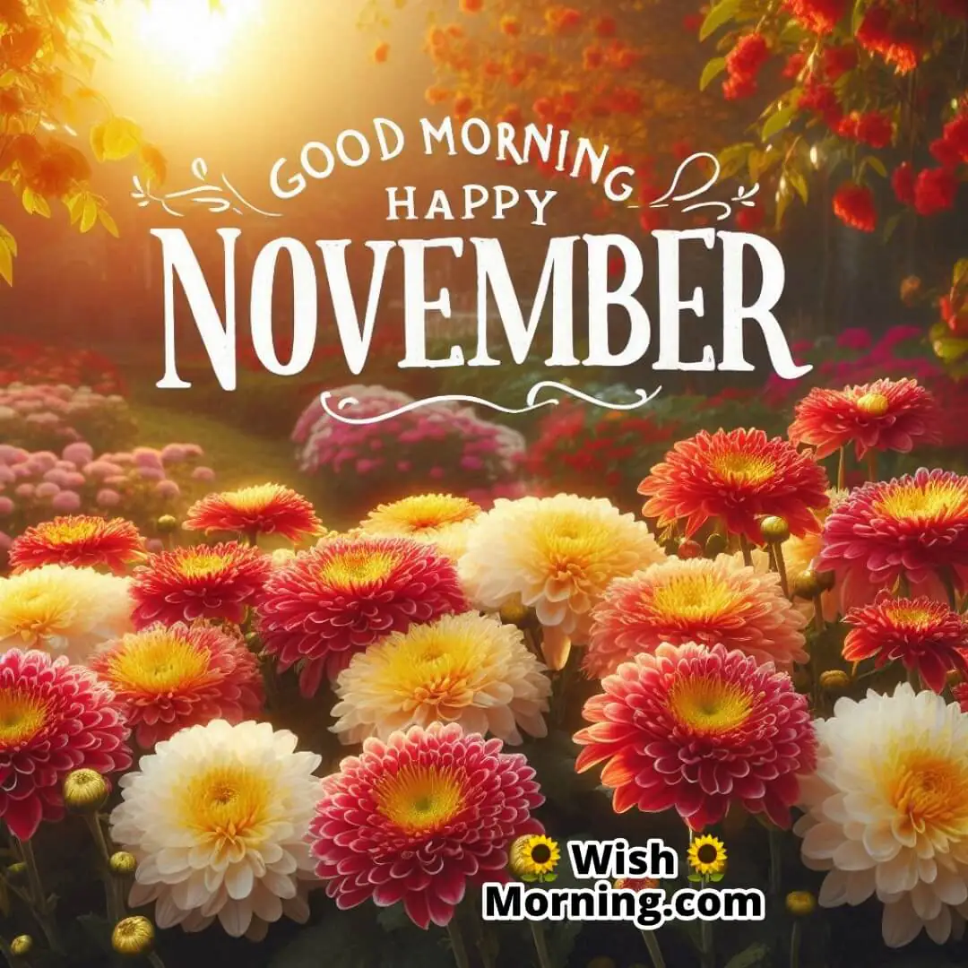 Chrysanthemums in vibrant colors blooming in a November garden with text Good Morning Happy November