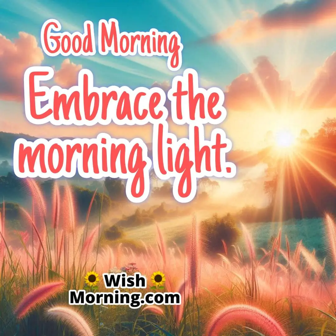 Good Morning Light Hd Pic highlighting the beauty of the morning light