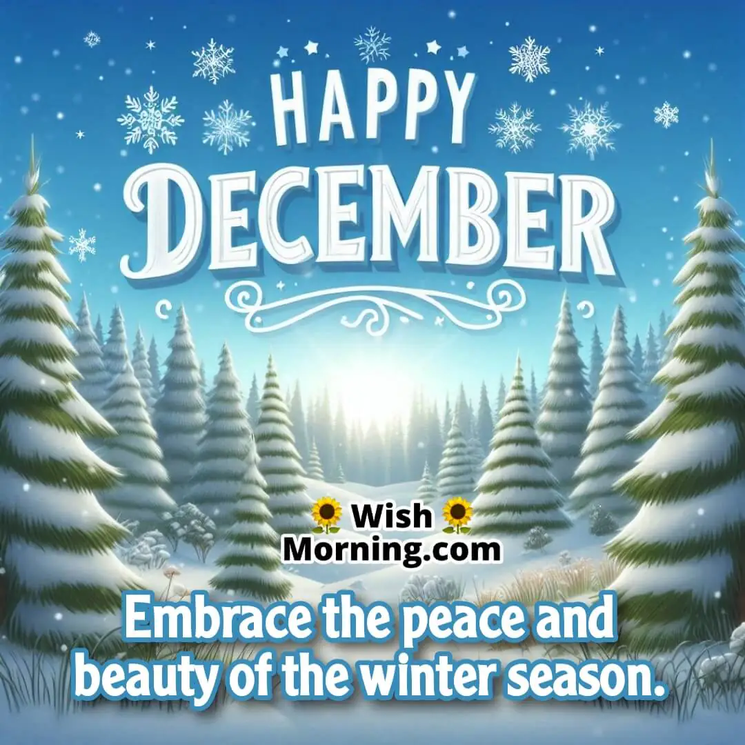 Snowy evergreen forest under a clear blue sky, paired with the text Happy December in a calm style.