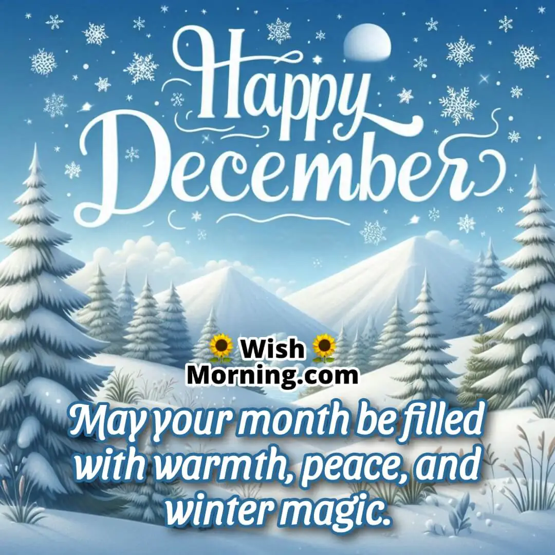 Snowy landscape with sunlight breaking through clouds, soft snow-covered trees, and Happy December in an elegant font.