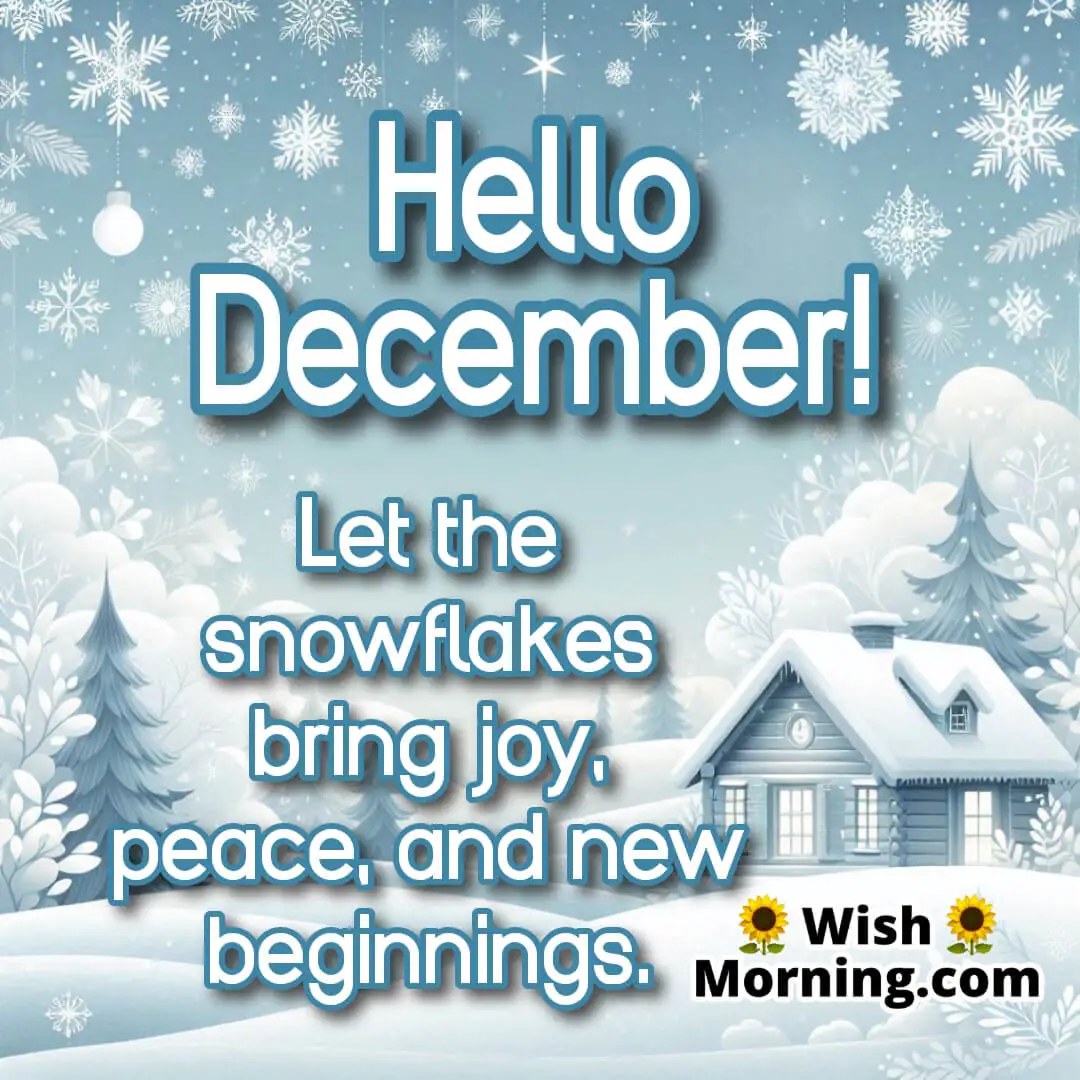 Snowflakes falling over a serene winter landscape with soft sunlight with Hello December at the top.
