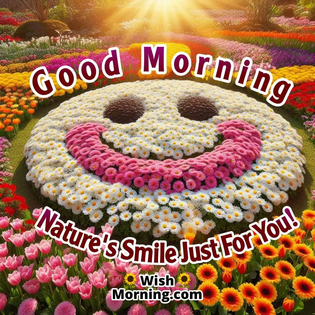 Flowers—daisies, tulips, and sunflowers—arranged in a large smiley face on the ground, creating a vibrant, cheerful scene with sunlight filtering through.