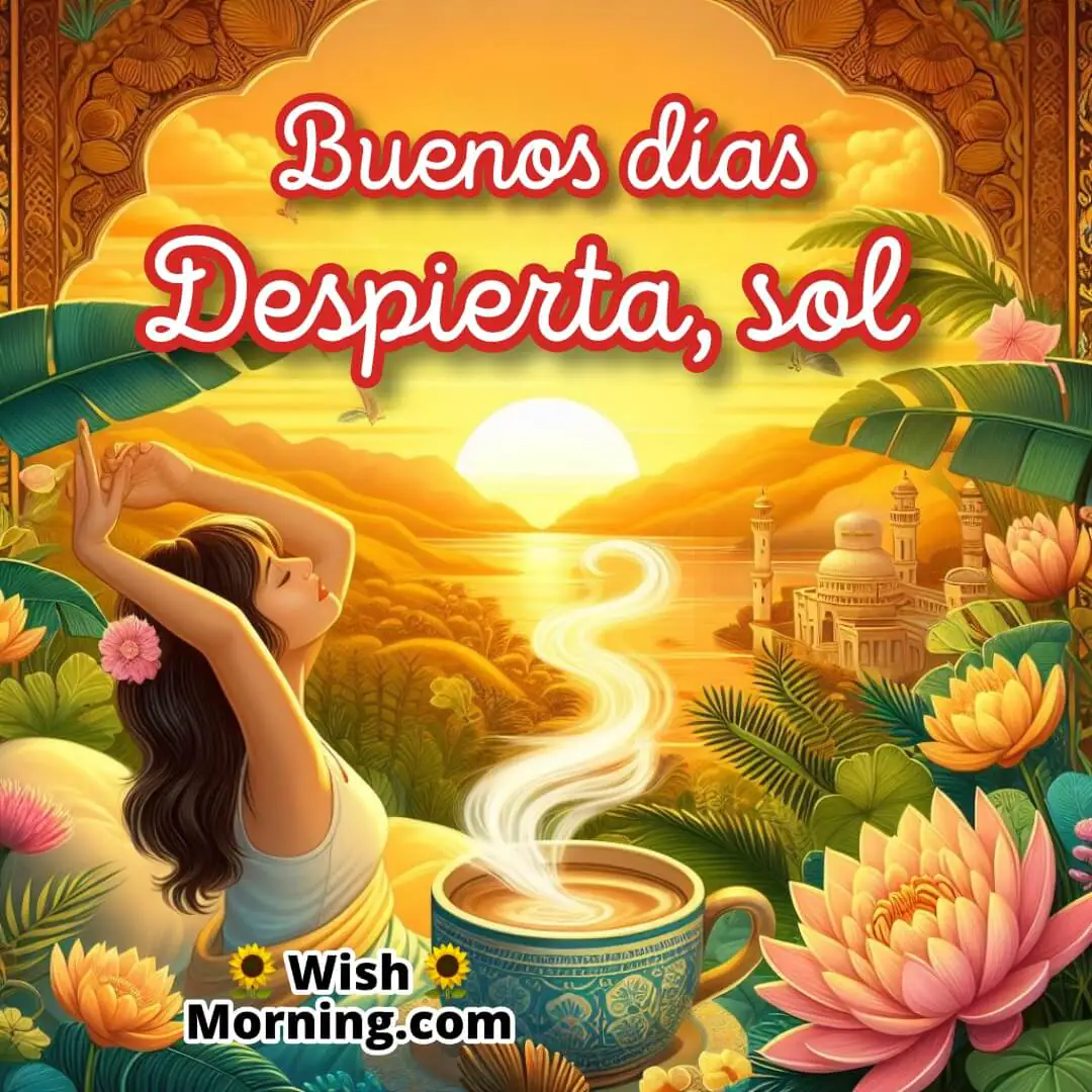 Buenos Días Despierta, Sol