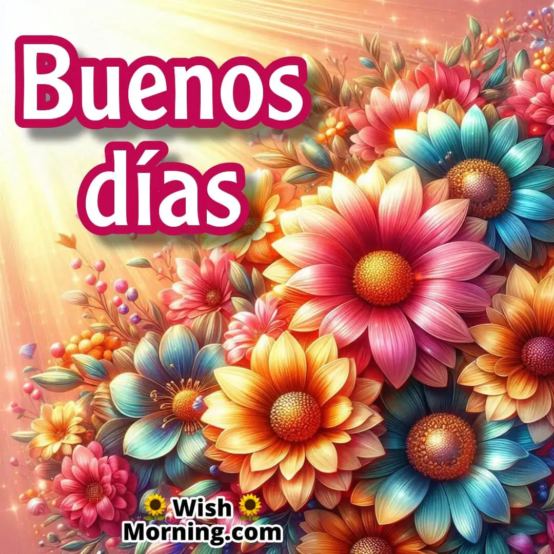 Buenos Días Flowers Pic