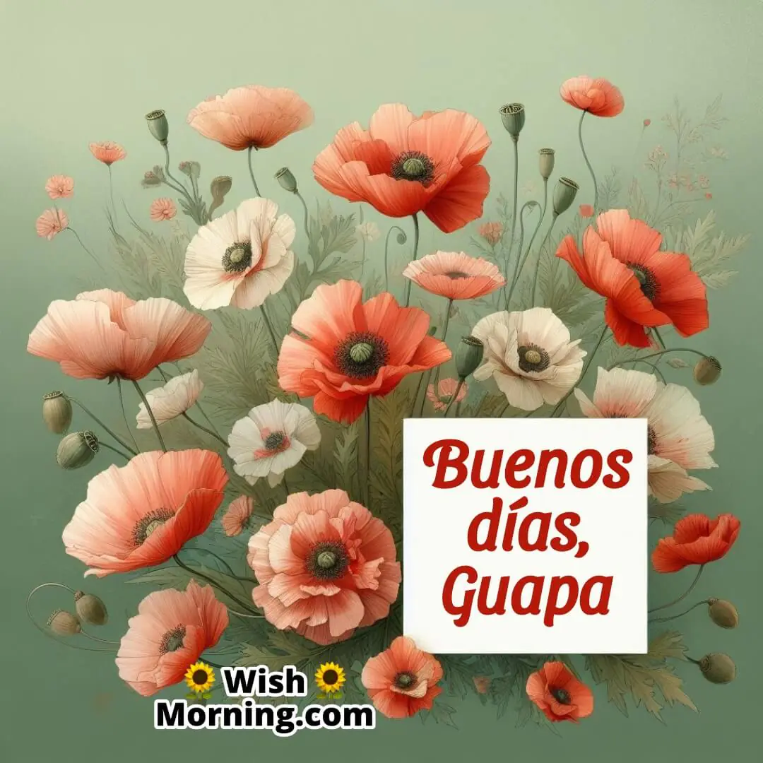 Buenos Días, Guapa