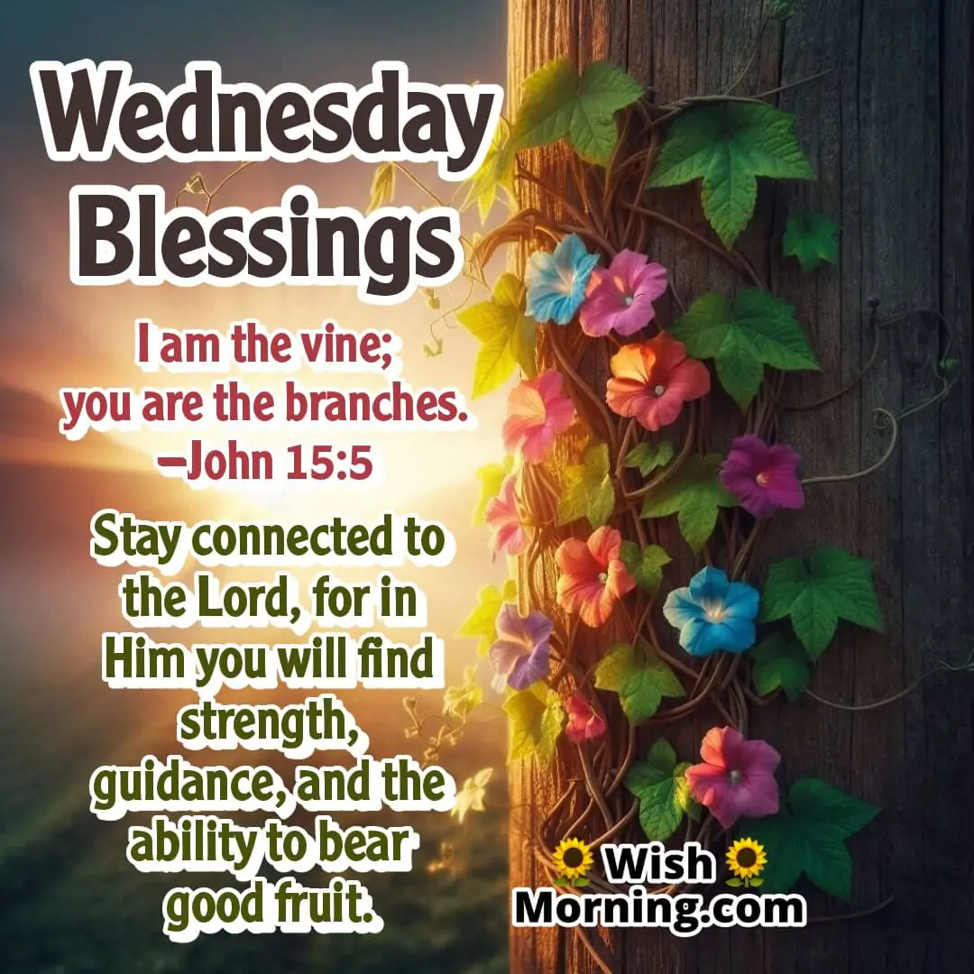 Flowering vine on a trellis with John 15:5 for Wednesday blessings.
