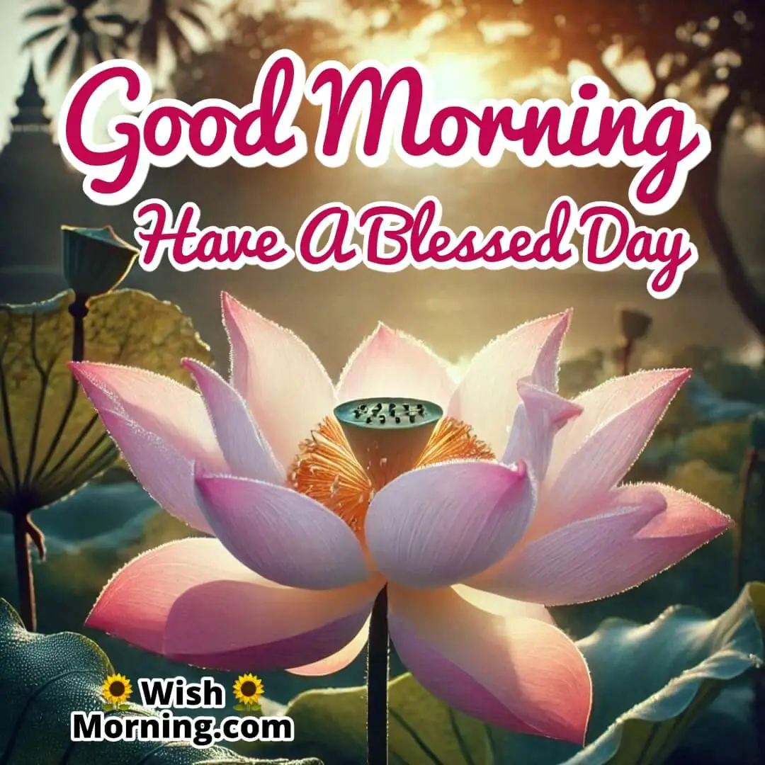 A radiant lotus flower bathed in golden sunlight with Good Morning written in elegant script.