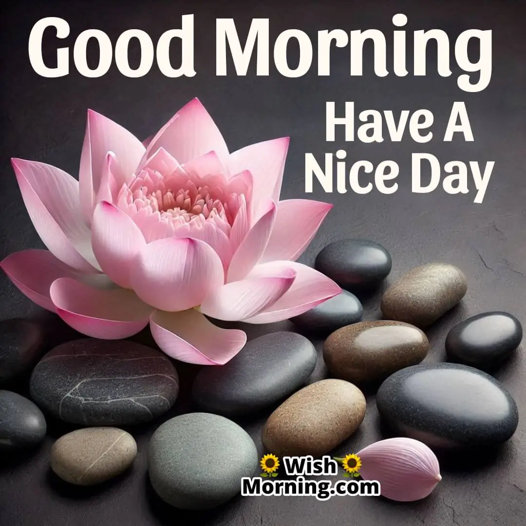 A calming lotus flower beside smooth stones with Good Morning written in a soothing font.
