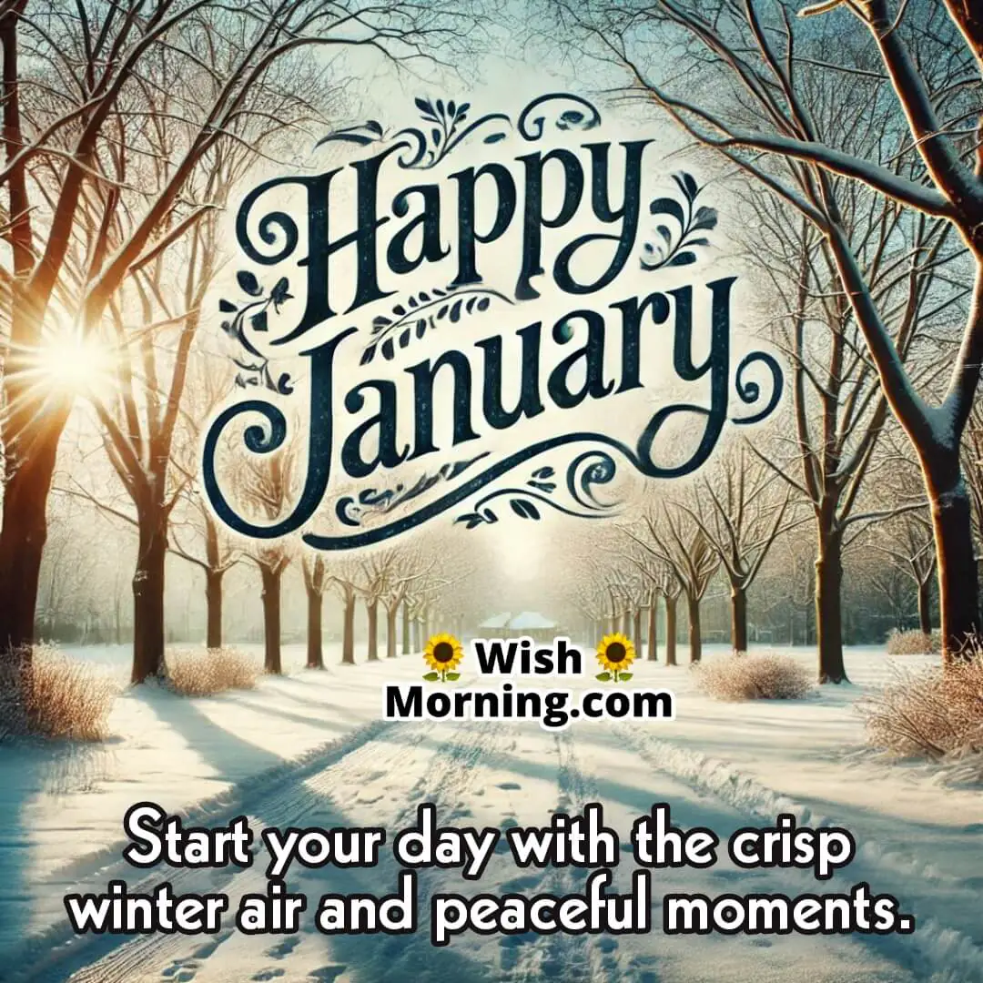 Snow-covered park with bare trees and sunlight shining through, featuring Happy January text above.