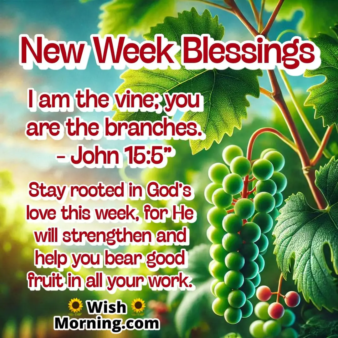 A grapevine with lush leaves and fruit, symbolizing staying rooted in God’s love.