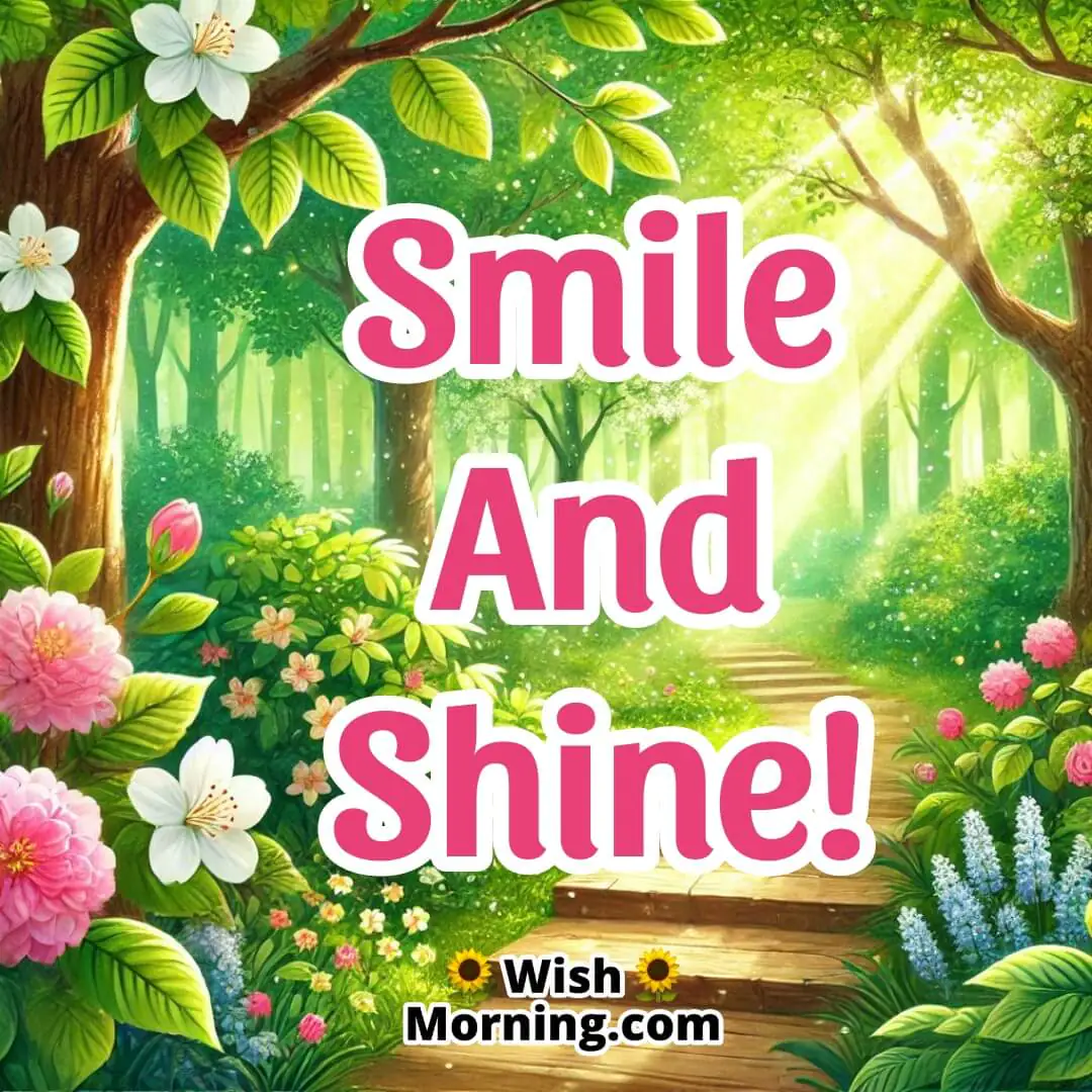 Sunlit forest path with blooming flowers for a wonderful day wish.
