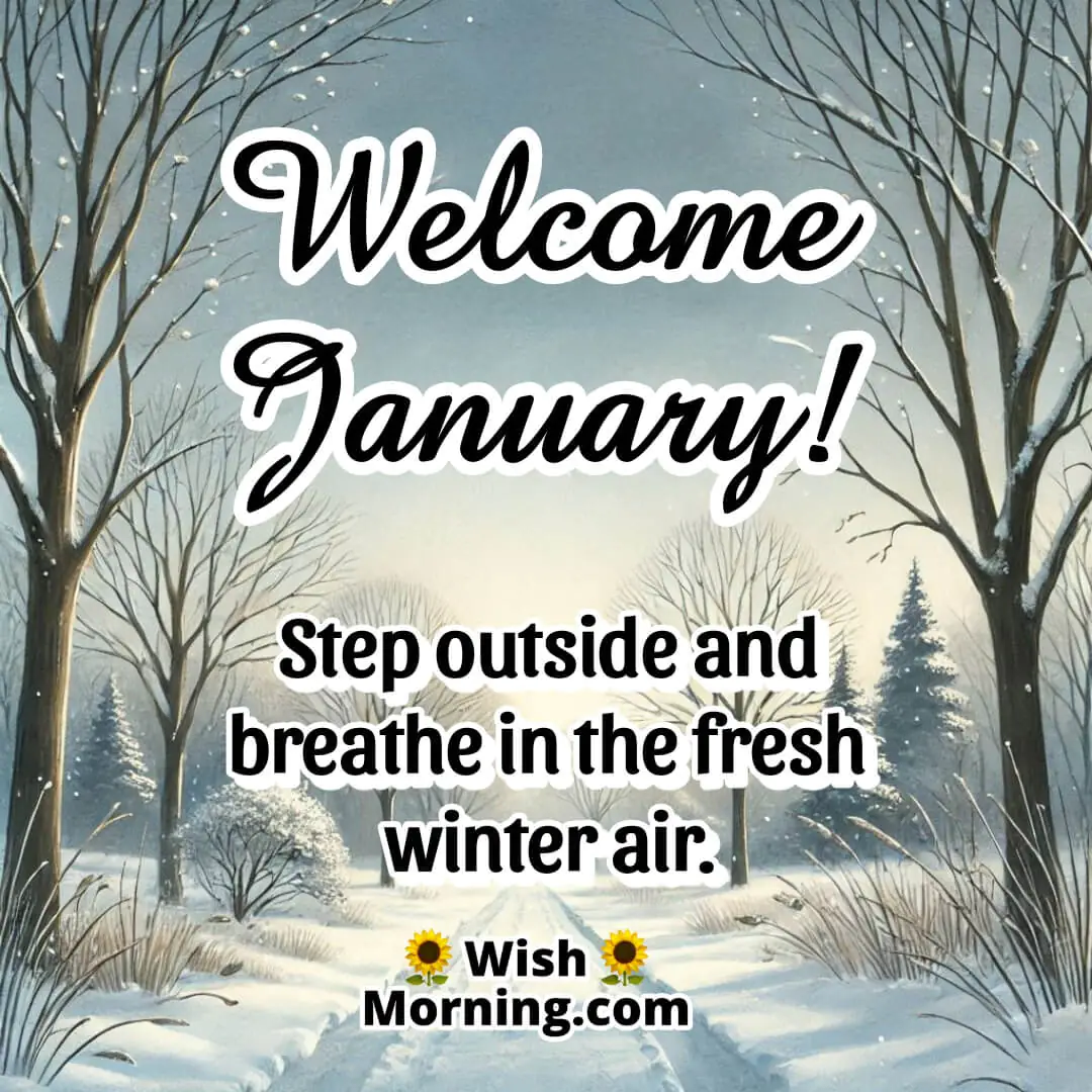 A snow-covered forest path under a clear winter sky with Welcome January written in a calming font.