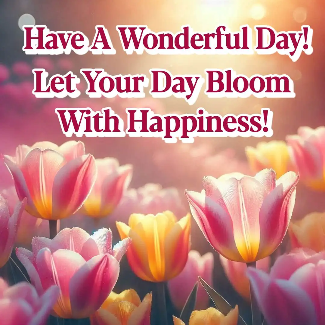 Blooming tulips under sunlight for a cheerful Have a Wonderful Day greeting.